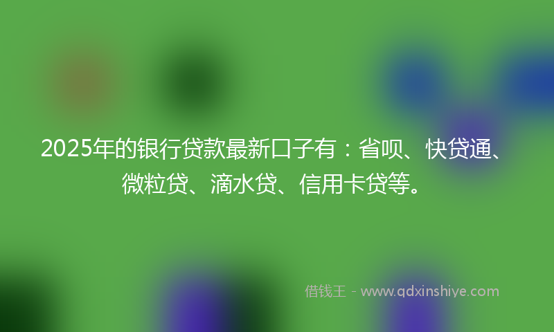 2025年的银行贷款最新口子有：省呗、快贷通、微粒贷、滴水贷、信用卡贷等。