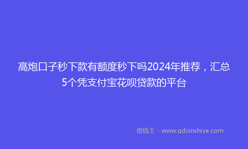 高炮口子秒下款有额度秒下吗2024年推荐，汇总5个凭支付宝花呗贷款的平台