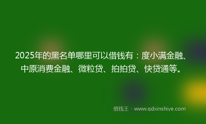 2025年的黑名单哪里可以借钱有：度小满金融、中原消费金融、微粒贷、拍拍贷、快贷通等。