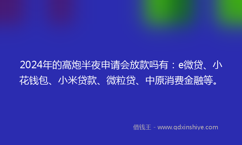 2024年的高炮半夜申请会放款吗有：e微贷、小花钱包、小米贷款、微粒贷、中原消费金融等。