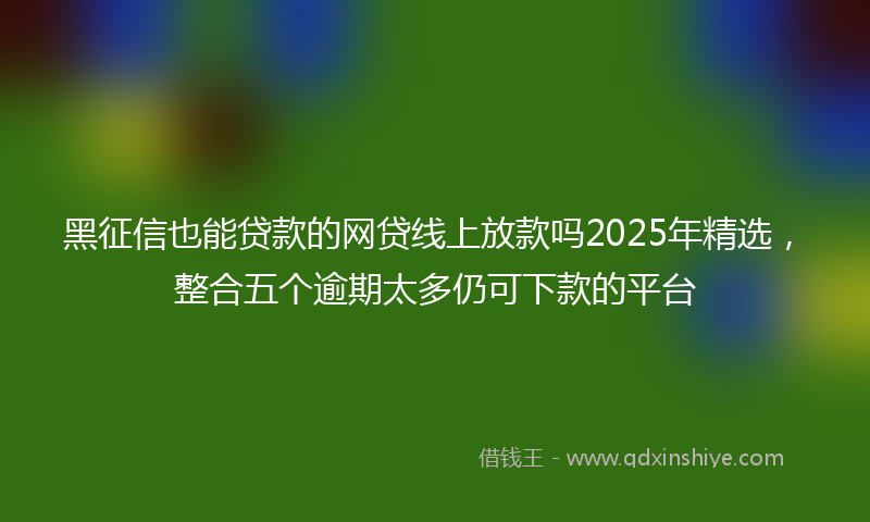 黑征信也能贷款的网贷线上放款吗2025年精选，整合五个逾期太多仍可下款的平台