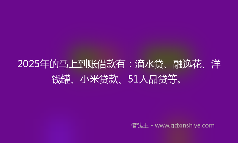 2025年的马上到账借款有：滴水贷、融逸花、洋钱罐、小米贷款、51人品贷等。