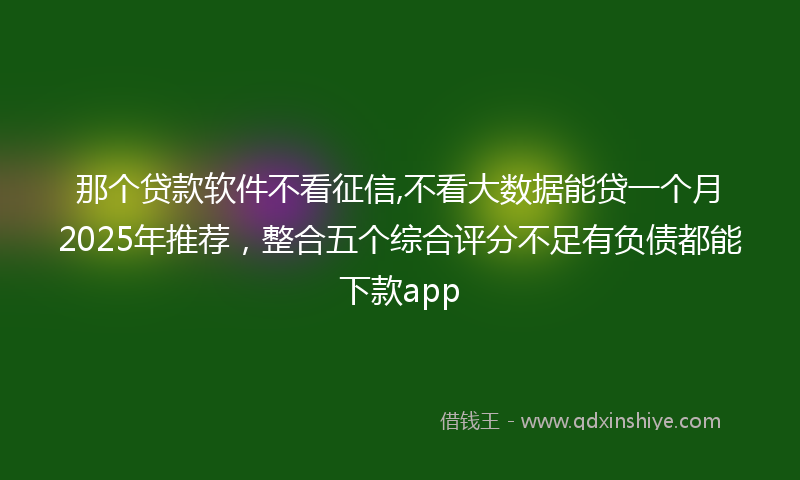 那个贷款软件不看征信,不看大数据能贷一个月2025年推荐，整合五个综合评分不足有负债都能下款app