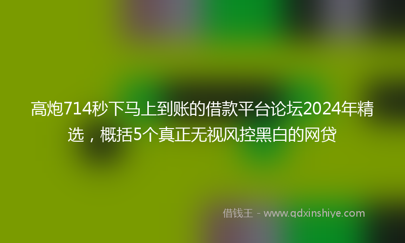 高炮714秒下马上到账的借款平台论坛2024年精选，概括5个真正无视风控黑白的网贷