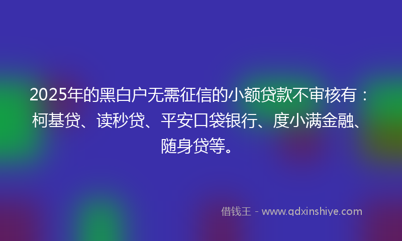 2025年的黑白户无需征信的小额贷款不审核有：柯基贷、读秒贷、平安口袋银行、度小满金融、随身贷等。