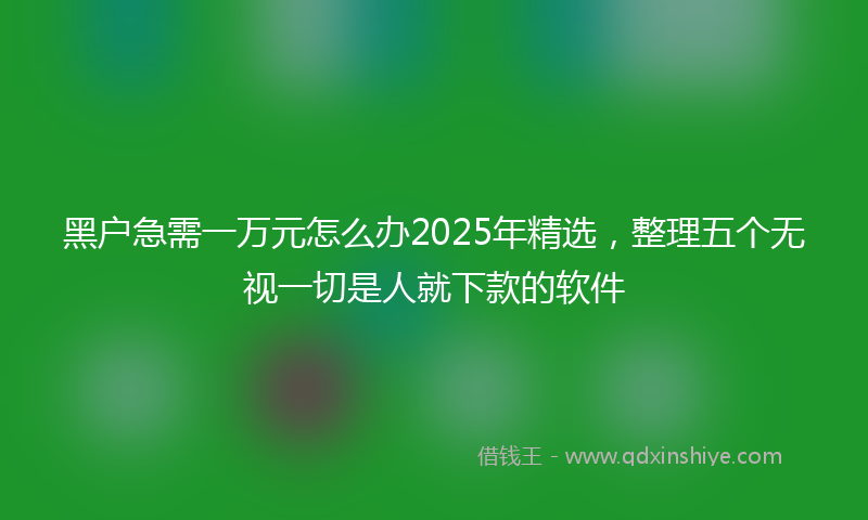 黑户急需一万元怎么办2025年精选,整理五个无视一切是人就下款的软件