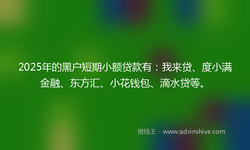 2025年的黑户短期小额贷款有：我来贷、度小满金融、东方汇、小花钱包、滴水贷等。