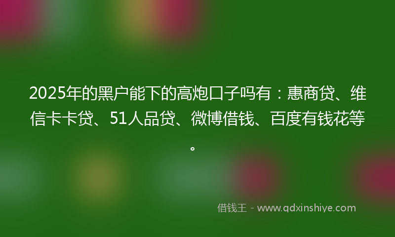 2025年的黑户能下的高炮口子吗有：惠商贷、维信卡卡贷、51人品贷、微博借钱、百度有钱花等。