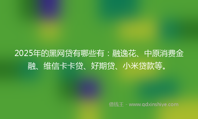 2025年的黑网贷有哪些有：融逸花、中原消费金融、维信卡卡贷、好期贷、小米贷款等。