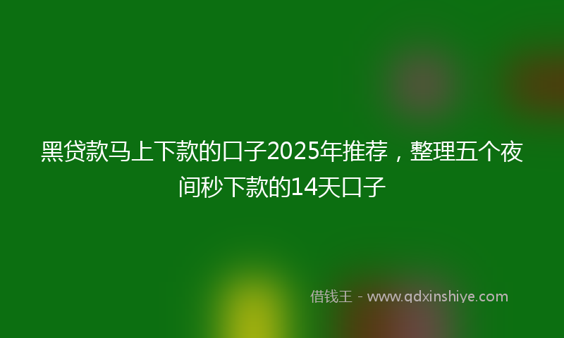 黑贷款马上下款的口子2025年推荐，整理五个夜间秒下款的14天口子