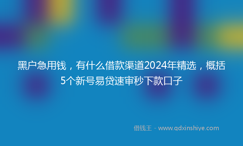 黑户急用钱,有什么借款渠道2024年精选,概括5个新号易贷速审秒下款口子