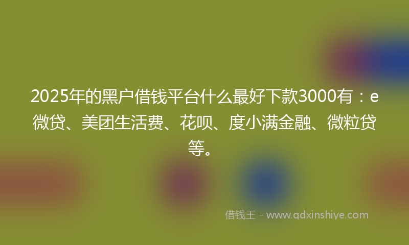 2025年的黑户借钱平台什么最好下款3000有：e微贷、美团生活费、花呗、度小满金融、微粒贷等。