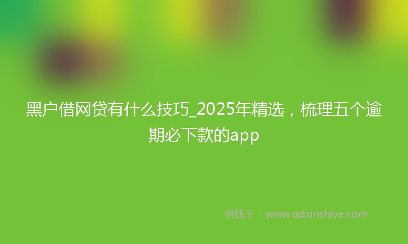 黑户借网贷有什么技巧_2025年精选，梳理五个逾期必下款的app