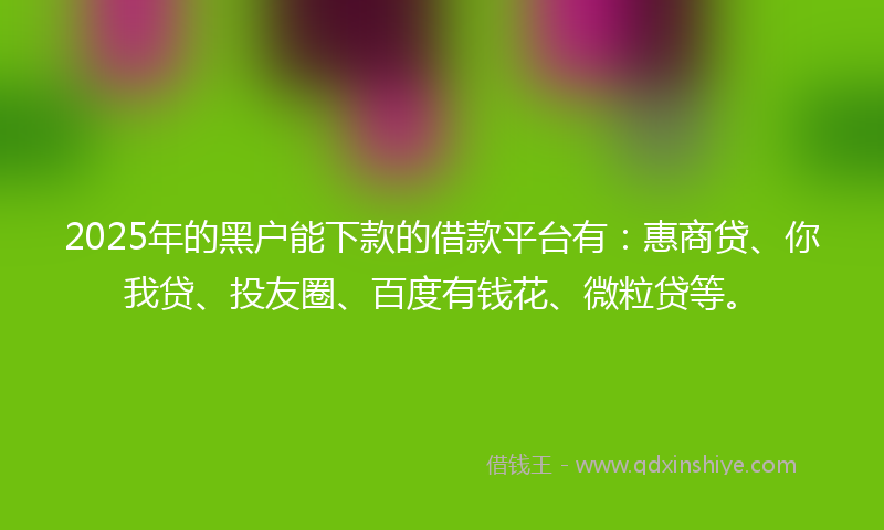 2025年的黑户能下款的借款平台有：惠商贷、你我贷、投友圈、百度有钱花、微粒贷等。