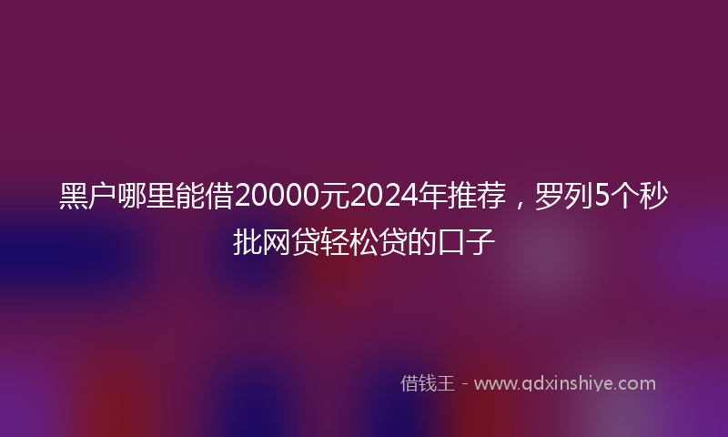 黑户哪里能借20000元2024年推荐，罗列5个秒批网贷轻松贷的口子
