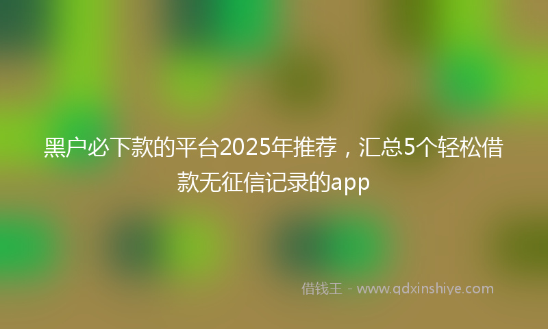 黑户必下款的平台2025年推荐，汇总5个轻松借款无征信记录的app