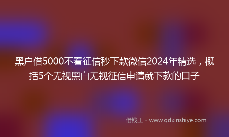 黑户借5000不看征信秒下款微信2024年精选，概括5个无视黑白无视征信申请就下款的口子