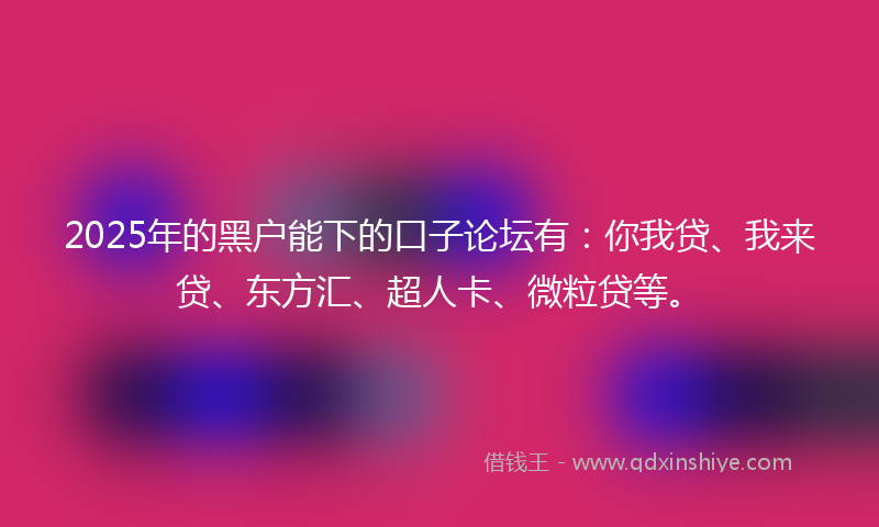 2025年的黑户能下的口子论坛有：你我贷、我来贷、东方汇、超人卡、微粒贷等。