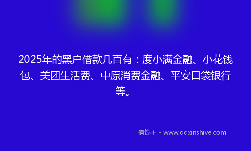 2025年的黑户借款几百有：度小满金融、小花钱包、美团生活费、中原消费金融、平安口袋银行等。