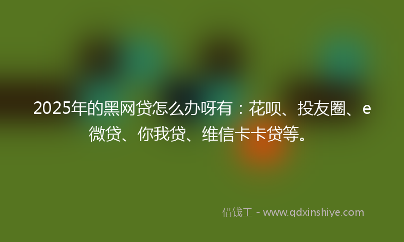 2025年的黑网贷怎么办呀有：花呗、投友圈、e微贷、你我贷、维信卡卡贷等。