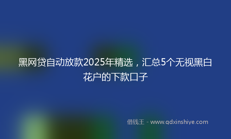 黑网贷自动放款2025年精选，汇总5个无视黑白花户的下款口子