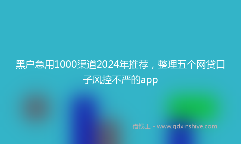 黑户急用1000渠道2024年推荐，整理五个网贷口子风控不严的app