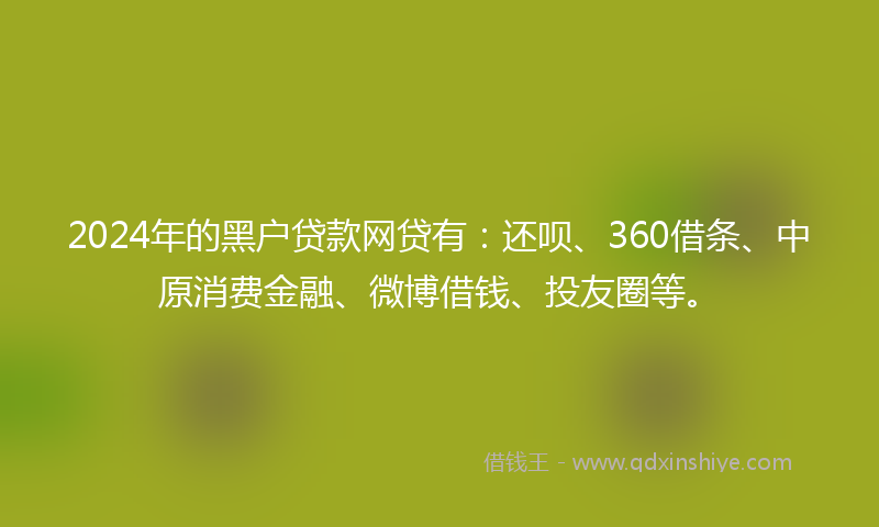 2024年的黑户贷款网贷有：还呗、360借条、中原消费金融、微博借钱、投友圈等。