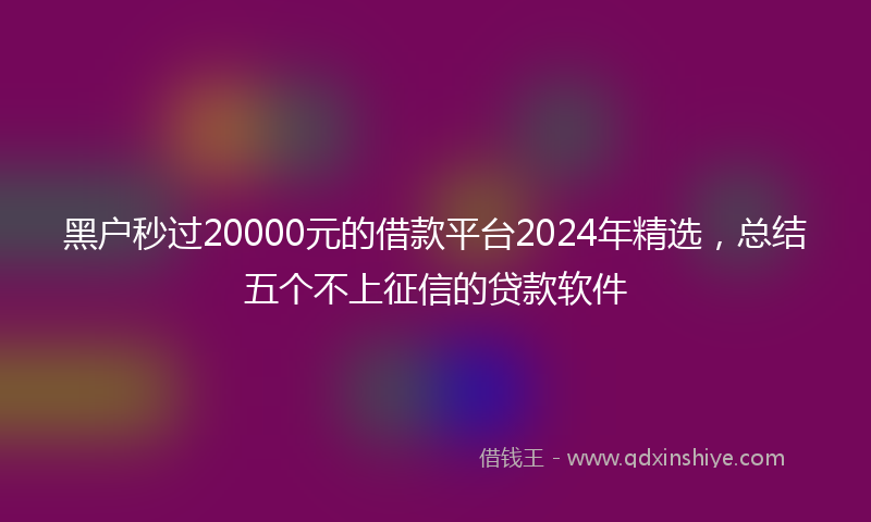黑户秒过20000元的借款平台2024年精选，总结五个不上征信的贷款软件
