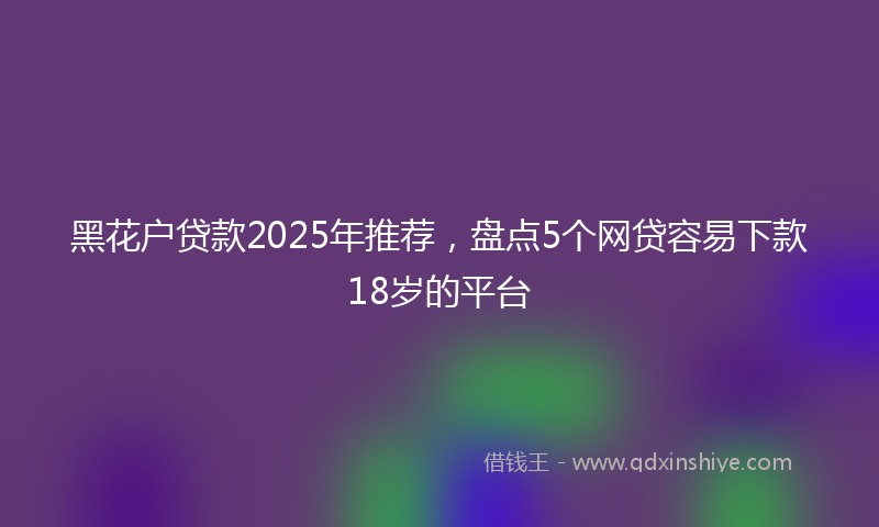 黑花户贷款2025年推荐，盘点5个网贷容易下款18岁的平台