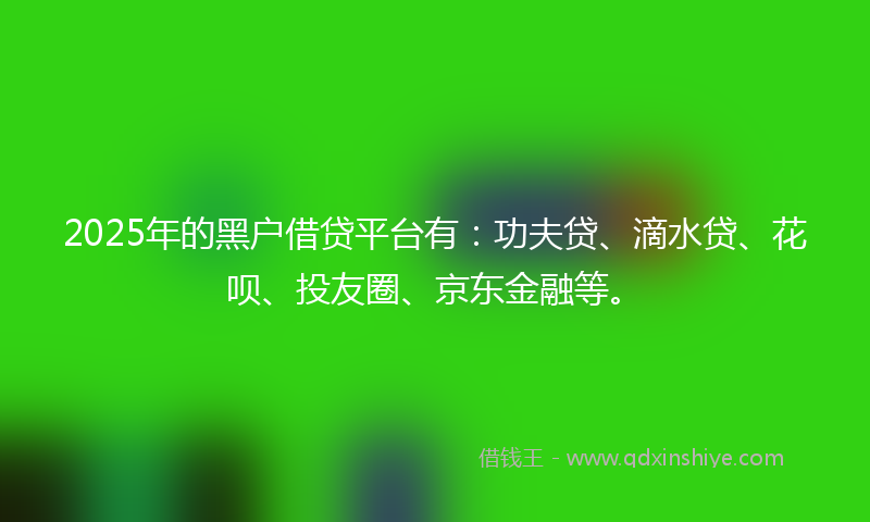 2025年的黑户借贷平台有：功夫贷、滴水贷、花呗、投友圈、京东金融等。