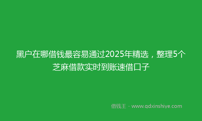 黑户在哪借钱最容易通过2025年精选，整理5个芝麻借款实时到账速借口子