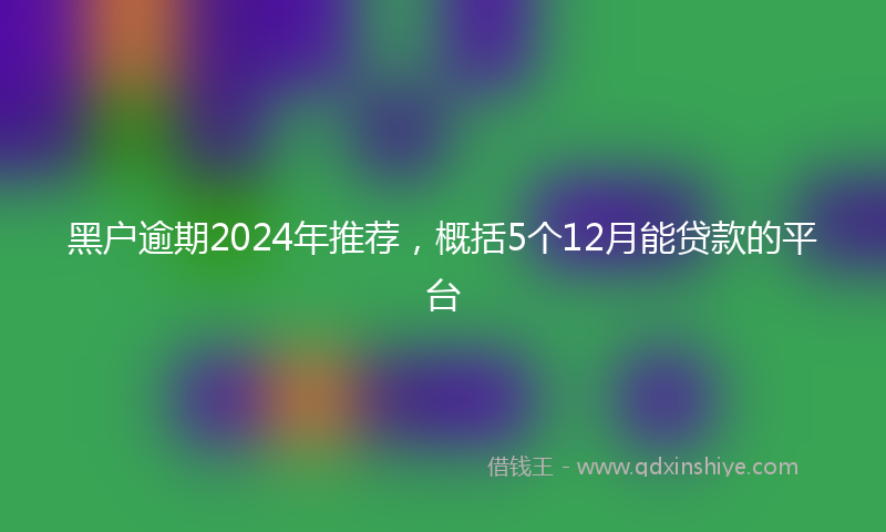 黑户逾期2024年推荐，概括5个12月能贷款的平台