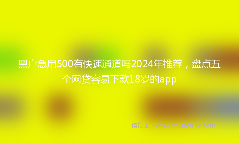 黑户急用500有快速通道吗2024年推荐，盘点五个网贷容易下款18岁的app