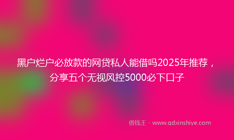 黑户烂户必放款的网贷私人能借吗2025年推荐，分享五个无视风控5000必下口子