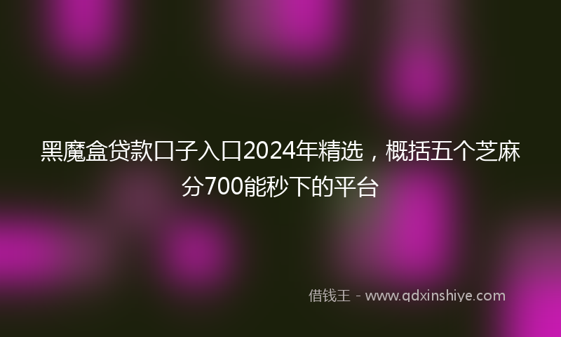 黑魔盒贷款口子入口2024年精选，概括五个芝麻分700能秒下的平台