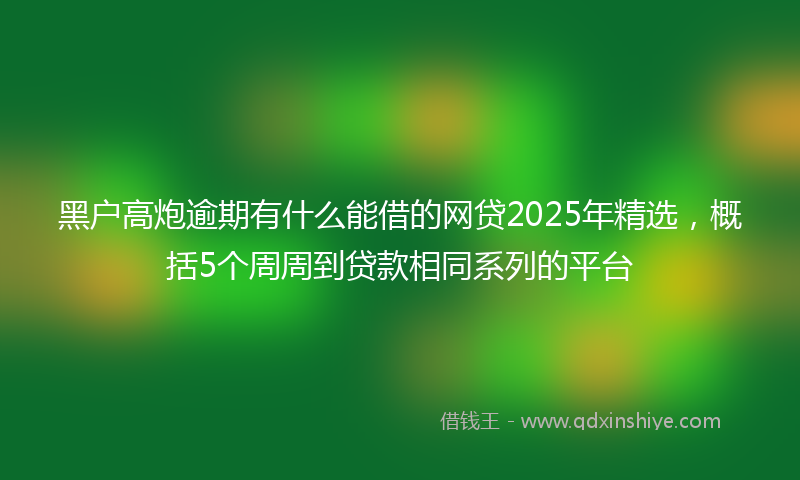 黑户高炮逾期有什么能借的网贷2025年精选，概括5个周周到贷款相同系列的平台