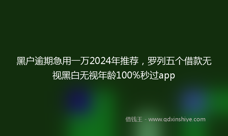 黑户逾期急用一万2024年推荐，罗列五个借款无视黑白无视年龄100%秒过app
