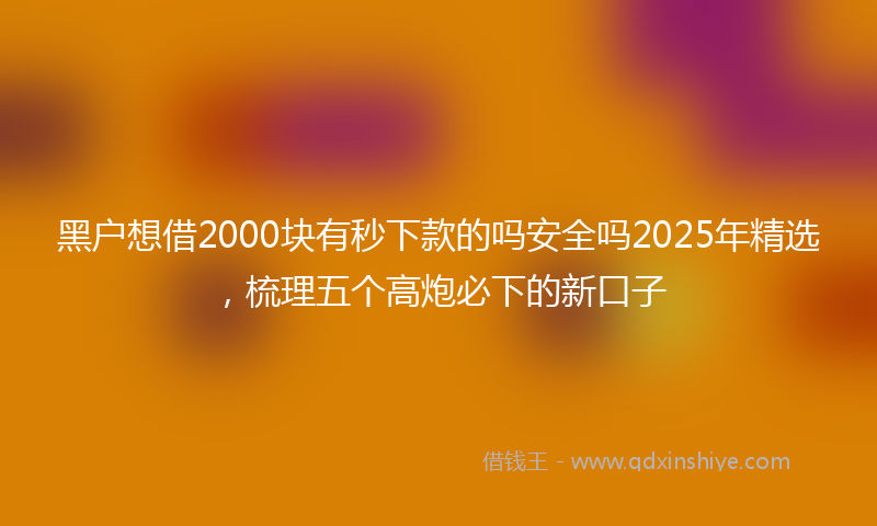 黑户想借2000块有秒下款的吗安全吗2025年精选，梳理五个高炮必下的新口子