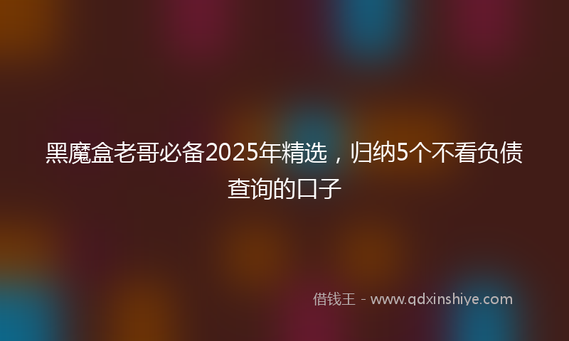 黑魔盒老哥必备2025年精选，归纳5个不看负债查询的口子