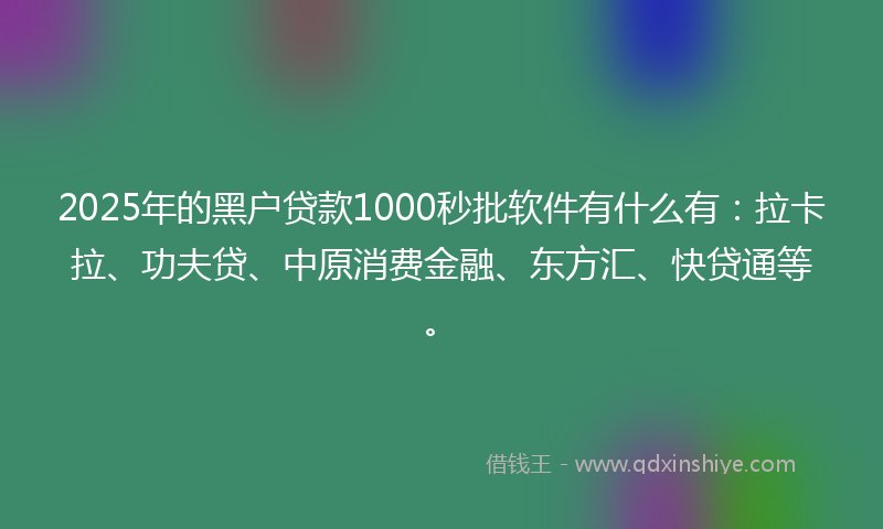 2025年的黑户贷款1000秒批软件有什么有：拉卡拉、功夫贷、中原消费金融、东方汇、快贷通等。