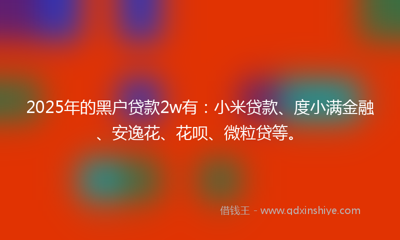 2025年的黑户贷款2w有：小米贷款、度小满金融、安逸花、花呗、微粒贷等。