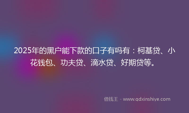 2025年的黑户能下款的口子有吗有：柯基贷、小花钱包、功夫贷、滴水贷、好期贷等。