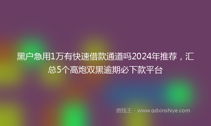 黑户急用1万有快速借款通道吗2024年推荐，汇总5个高炮双黑逾期必下款平台