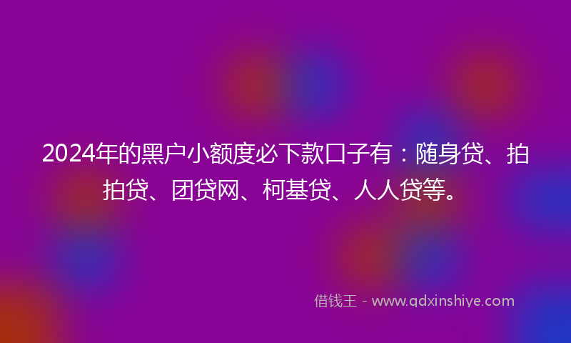 2024年的黑户小额度必下款口子有：随身贷、拍拍贷、团贷网、柯基贷、人人贷等。