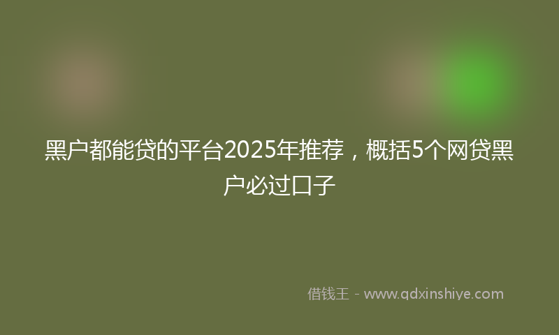 黑户都能贷的平台2025年推荐，概括5个网贷黑户必过口子