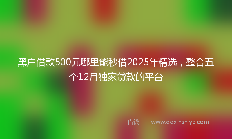 黑户借款500元哪里能秒借2025年精选，整合五个12月独家贷款的平台
