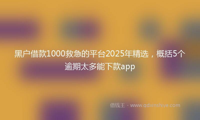 黑户借款1000救急的平台2025年精选，概括5个逾期太多能下款app