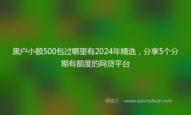 黑户小额500包过哪里有2024年精选，分享5个分期有额度的网贷平台