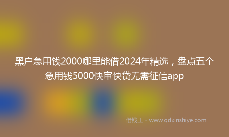 黑户急用钱2000哪里能借2024年精选，盘点五个急用钱5000快审快贷无需征信app