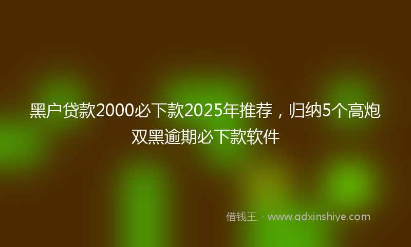 黑户贷款2000必下款2025年推荐，归纳5个高炮双黑逾期必下款软件